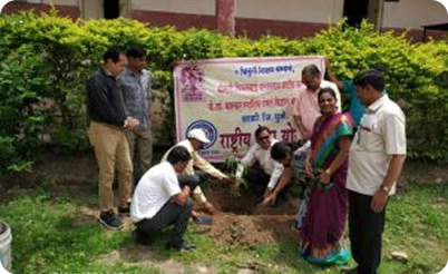 Tree Planting